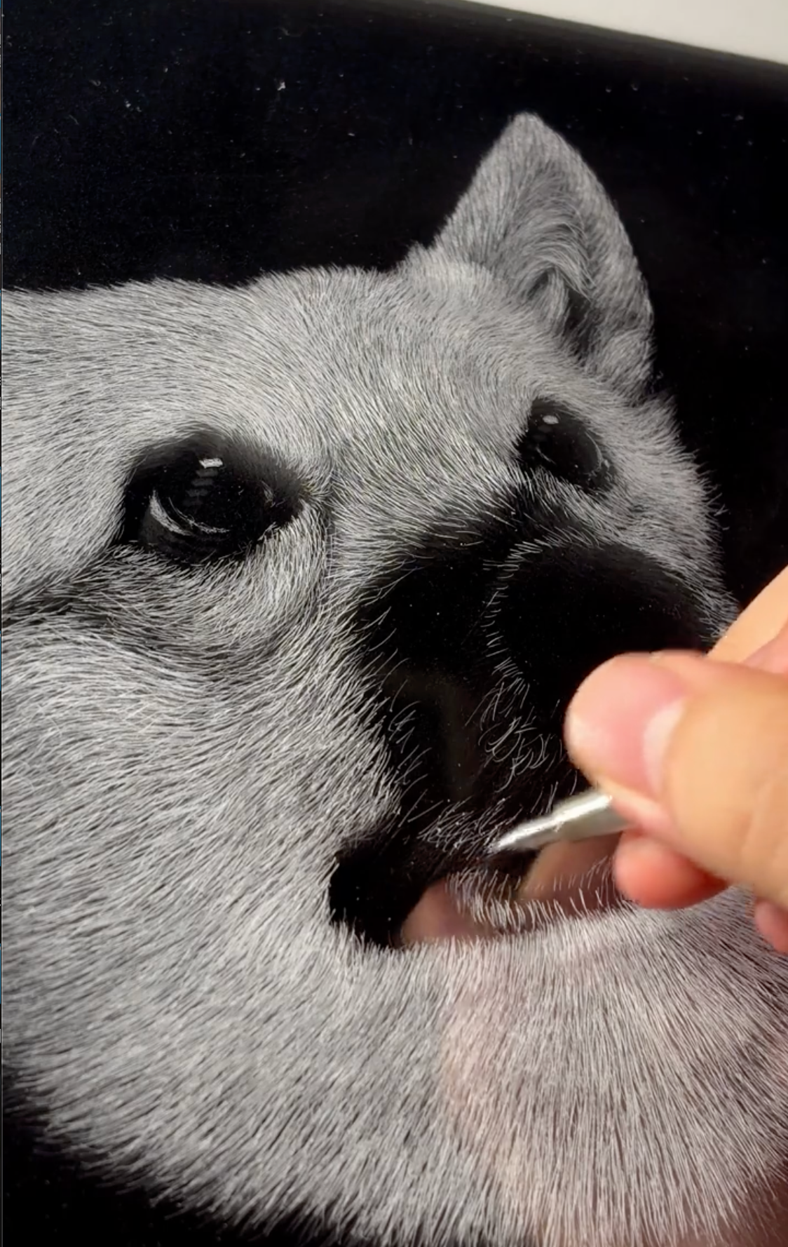 Hand Carved Custom 3D Layered Acrylic Pet Relief Portrait, Timeless Pet Memorial Keepsake for Dogs & Cats
