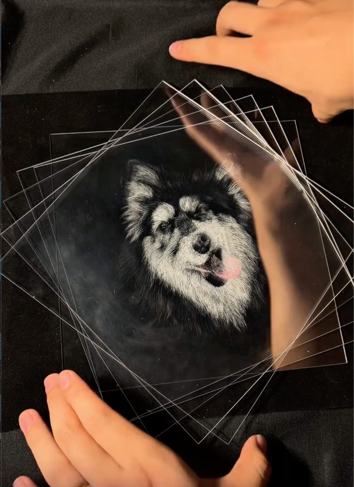 Hand Carved Custom 3D Layered Acrylic Pet Relief Portrait, Timeless Pet Memorial Keepsake for Dogs & Cats