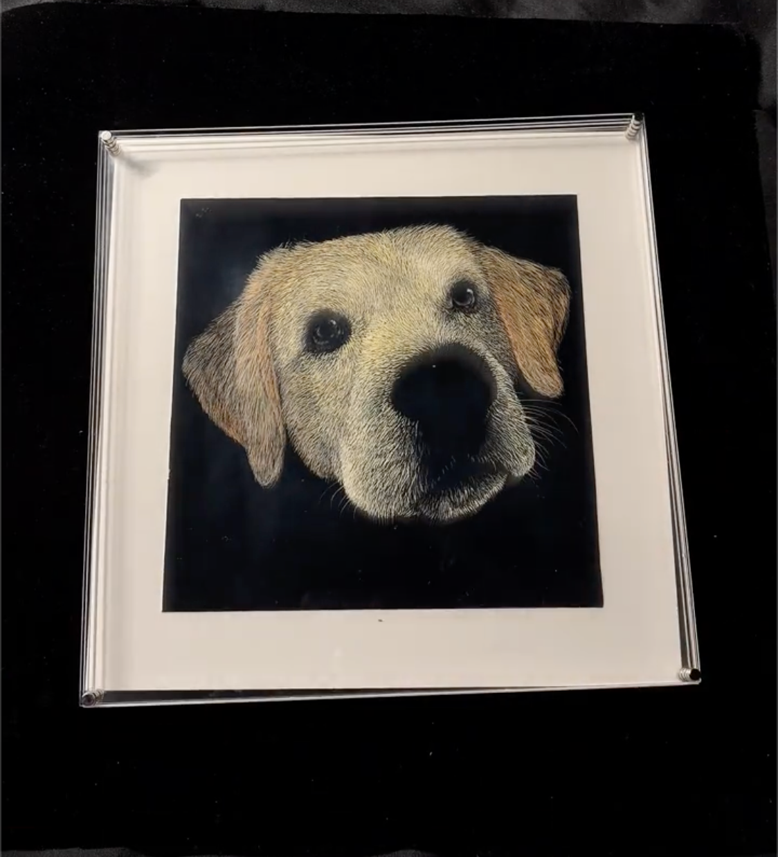 Hand Carved Custom 3D Layered Acrylic Pet Relief Portrait, Timeless Pet Memorial Keepsake for Dogs & Cats
